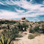 8868体育网页版使用指南:新手如何快速上手并享受游戏乐趣 4e5mzb5h