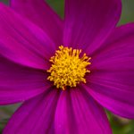 79.net必赢平台评测:用户体验与盈利潜力的全面分析 e0u7fz8h