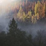 91德州扑克:新手玩家必知的游戏基础知识 ujgde