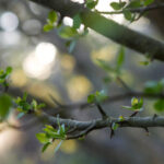 136开奖网最新开奖结果查询与中奖号码公布 177g5r