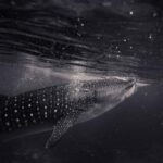 1388345期开奖结果查询与最新中奖号码公布 5x3bf