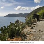 139开奖直播现场:见证幸运号码揭晓时刻 eg7xl