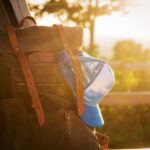 13515开奖资料最新查询与历史数据分析 hnpm0422