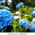 13号开奖倒计时,幸运大奖花落谁家? mjrik023