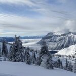 1378机看开奖最新结果查询与中奖号码分析 n0u8adp4