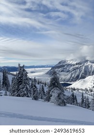 1378机看开奖最新结果查询与中奖号码分析 1378机看开奖最新结果查询与中奖号码分析
