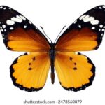 1396开奖结果查询与最新开奖信息公布 prxjno