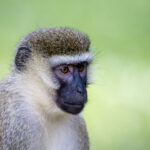 138期3D开奖号码正式公布,最新结果已揭晓 pv1e83h