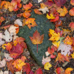 33395期开奖结果震撼揭晓,幸运号码已公布 rjm6f4