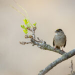 139彩票开奖app官方版下载安装 t7tn44l1p