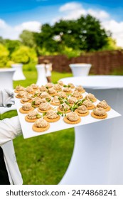 33508现场开奖结果查询与最新开奖信息