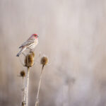 3374最快开奖直播现场全程高清同步更新 w1q7j5rxu