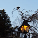 33778开奖直播全程高清实时在线观看 xscyy